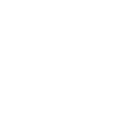 Sonic Logo